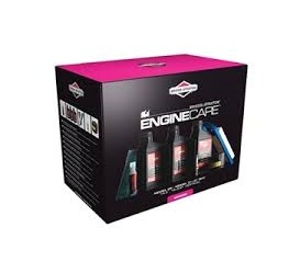 Kit entretien moteur Briggs et Stratton 992238 (huile, bougie, filtre...)