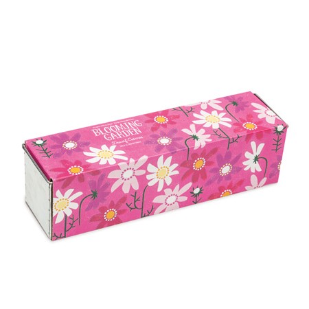 Kit Jardinière Cosmos Nains