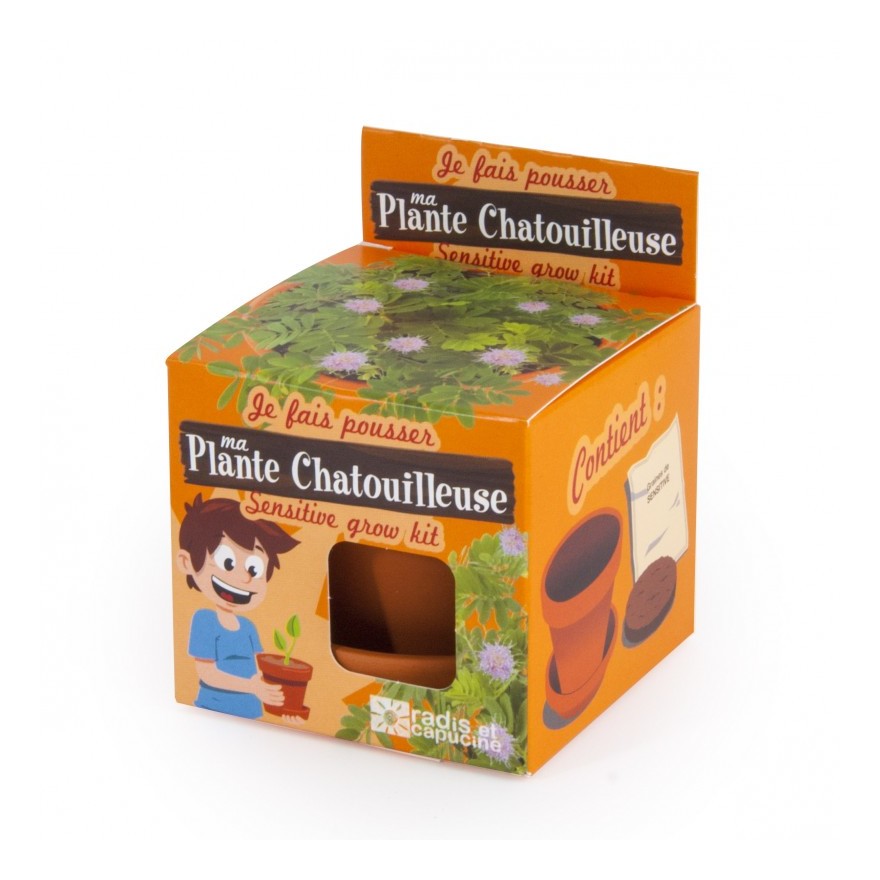 Graines de Mimosa pudica en pot de culture pour enfants - RADIS ET CAPUCINE