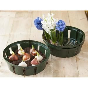 Lot de 3 bacs ? bulbes H8 x diam 32 cm