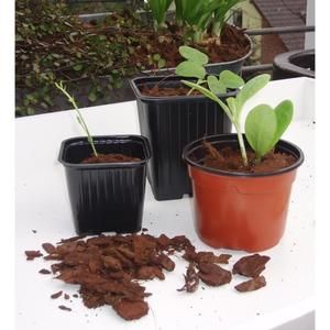 Lot de 8 pots bouturage polystyr?ne H7 x diam 9,5 cm