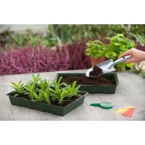 Lot de 5 terrines pour semis 35x23,5x5,5 cm