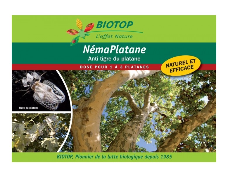 Nématodes utiles spécial platanes némaplatane - BIOTOP