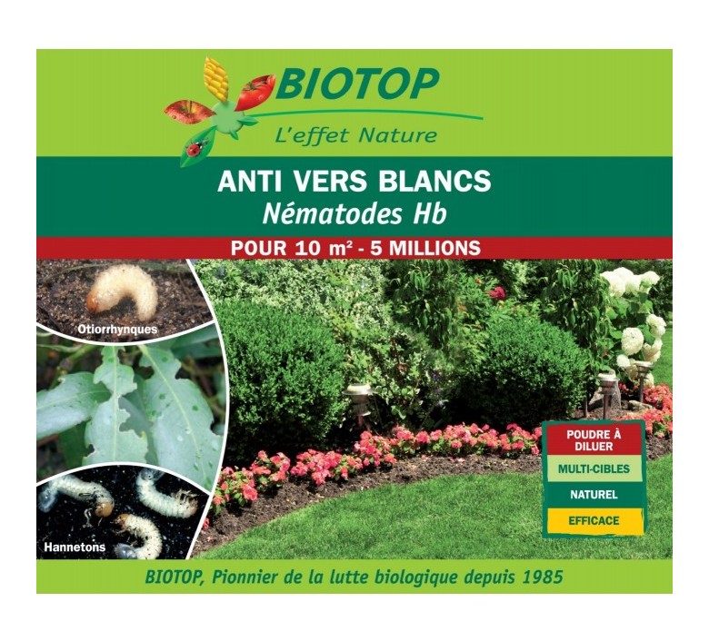 Nématodes utiles HB anti vers blancs (5M) - BIOTOP