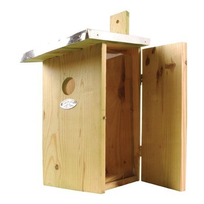 Nichoir observation en Bois vitré