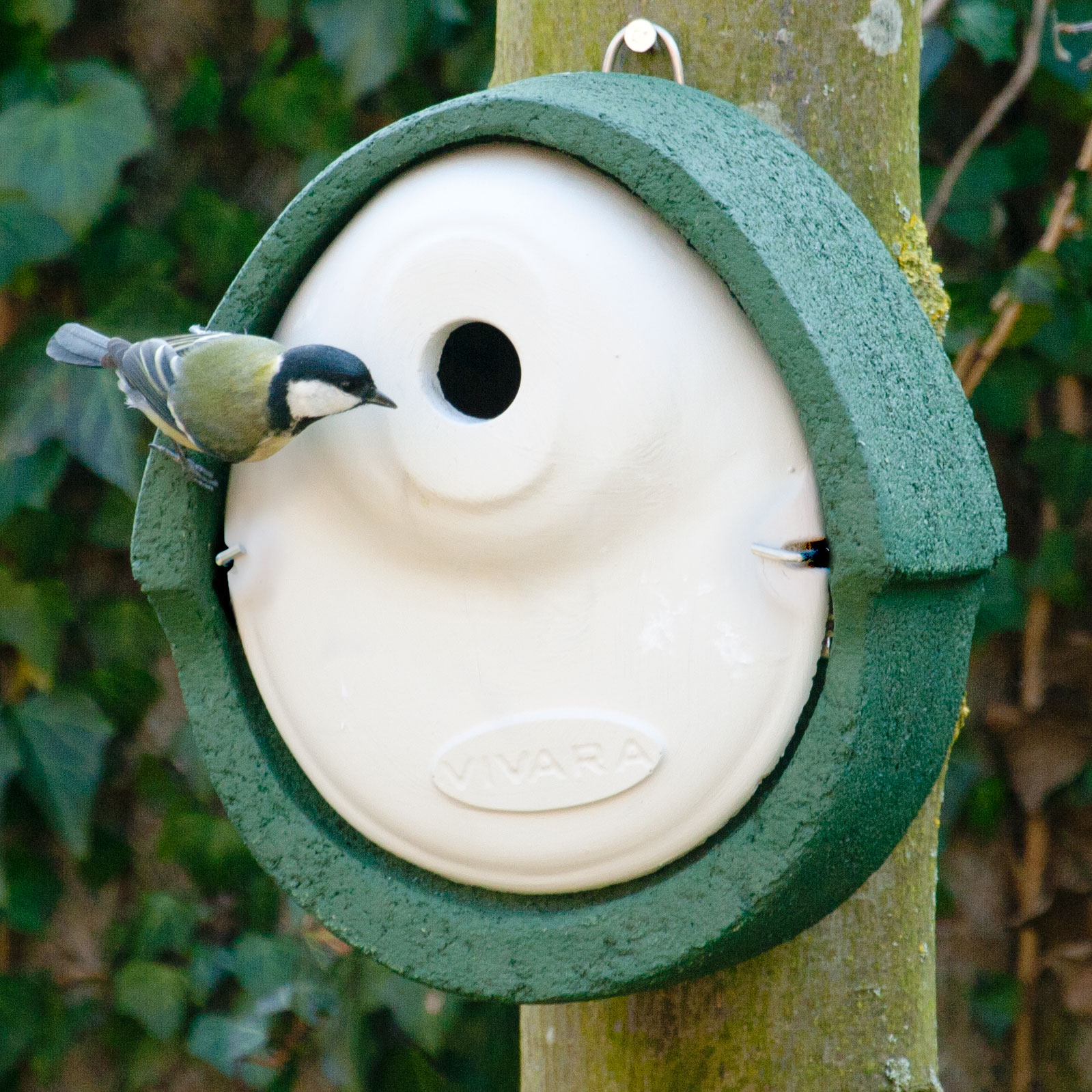 Nichoir Alicante WoodStone ® 28 mm - Vert