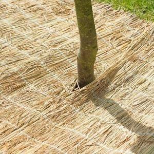 NATURE Paillon en paille de riz cousue