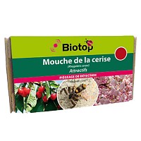 Attractif ammoniacal mouche de la cerise - 2 mois (2 capsules)
