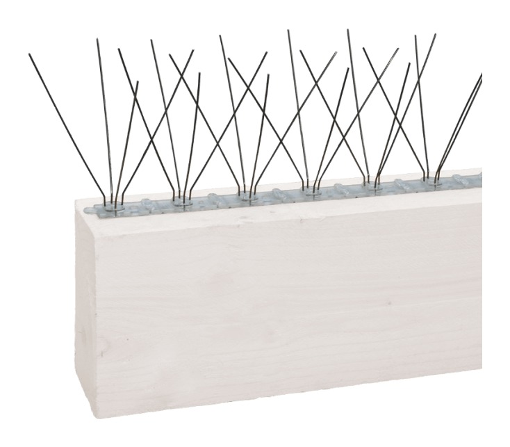 Pics Anti-oiseaux Toute Surface Professionnel Lot de 4 - EMPASA