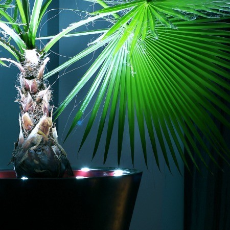 Pot de fleur lumineux LED 80 cm