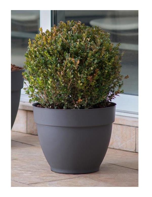 Pot Ninfea a reserve d'eau - 30x30x24cm - 12l - Anthracite - DEROMA Pot Ninfea a reserve d'eau - 30x30x24cm - 12l - Anthracite - DEROMA