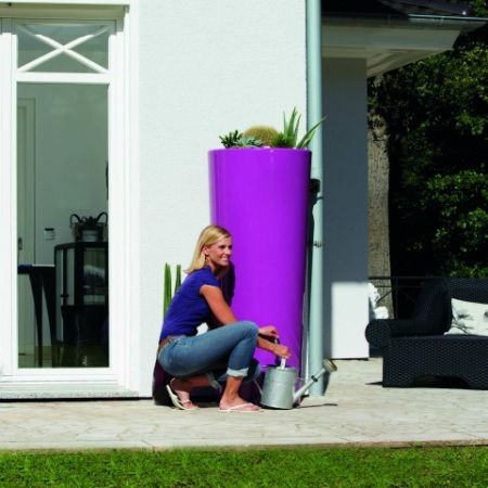 Récupérateur d'eau 350L et bac à plante - cassis