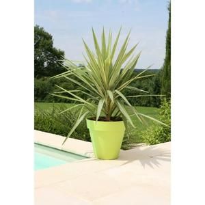 RIVIERA Pot SOLEILLA diam?tre 50 cm vert anis