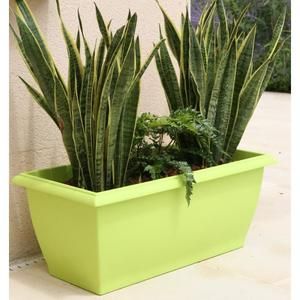 RIVIERA Bac rectangulaire Evolution - 80x40cm - Contenance 64l - Vert anis