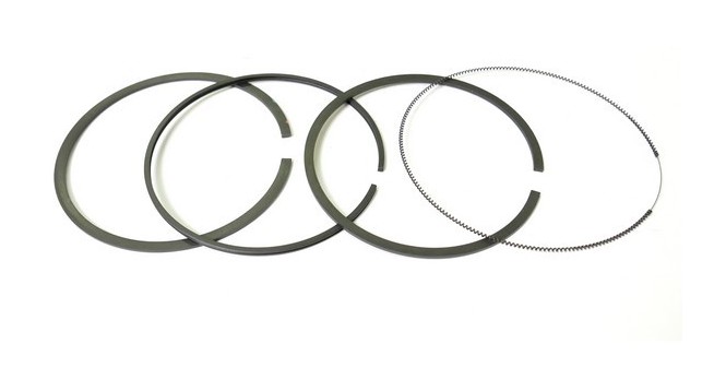 Segment autoportée à moteur Briggs et Stratton