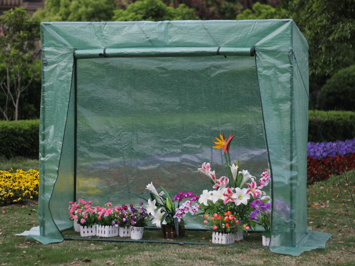 Serre tomate Petunia- 1.6M² - 2 X 0.77 X 1.69 M