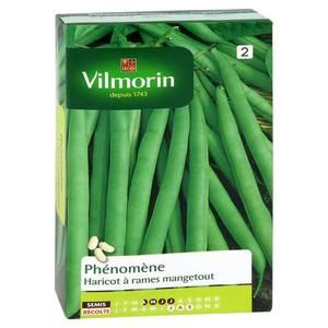 VILMORIN Haricot Phenomene Mangetout Sachet de graines
