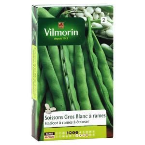 VILMORIN Haricot Soissons gros blanc ? rames Sachet de graines - A écosser