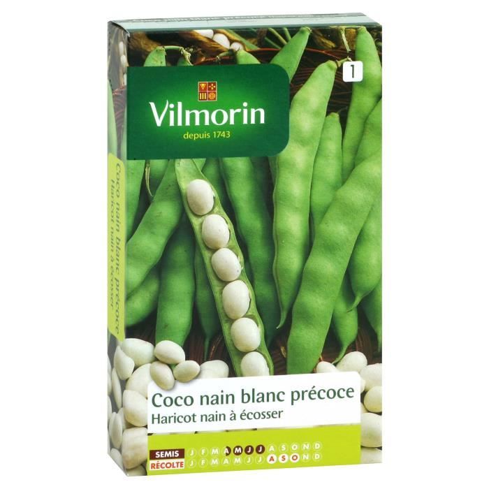 VILMORIN Haricot Coco nain Blanc précoce Sachet de graines