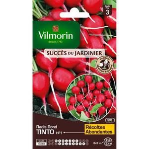 VILMORIN Sachet graines de Radis TINTO
