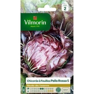 VILMORIN Chicorée ? larges feuilles Palla Rossa