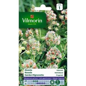 VILMORIN Reseda odorant