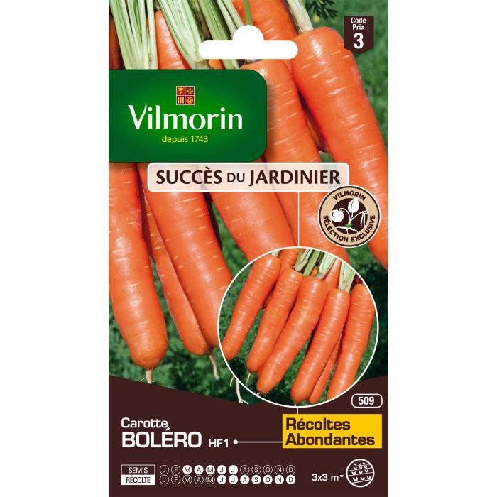 VILMORIN Sachet graines de Carotte BOLERO