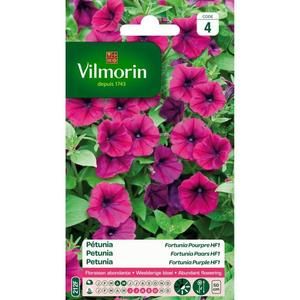 VILMORIN Petunia Fortunia pourpre HF1 retombant