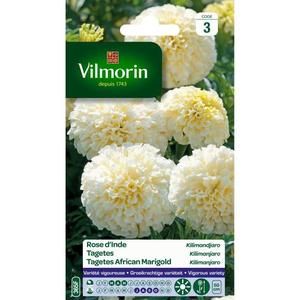VILMORIN Rose d?Inde Kilimandjaro blanche