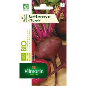 VILMORIN Betterave noire d Egypte bio