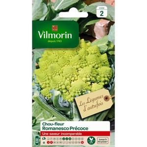 VILMORIN Chou Brocoli Romanesco precoce