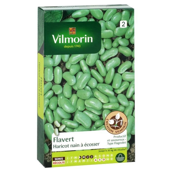 VILMORIN Haricot Flavert Sachet de graines - Création Vilmorin