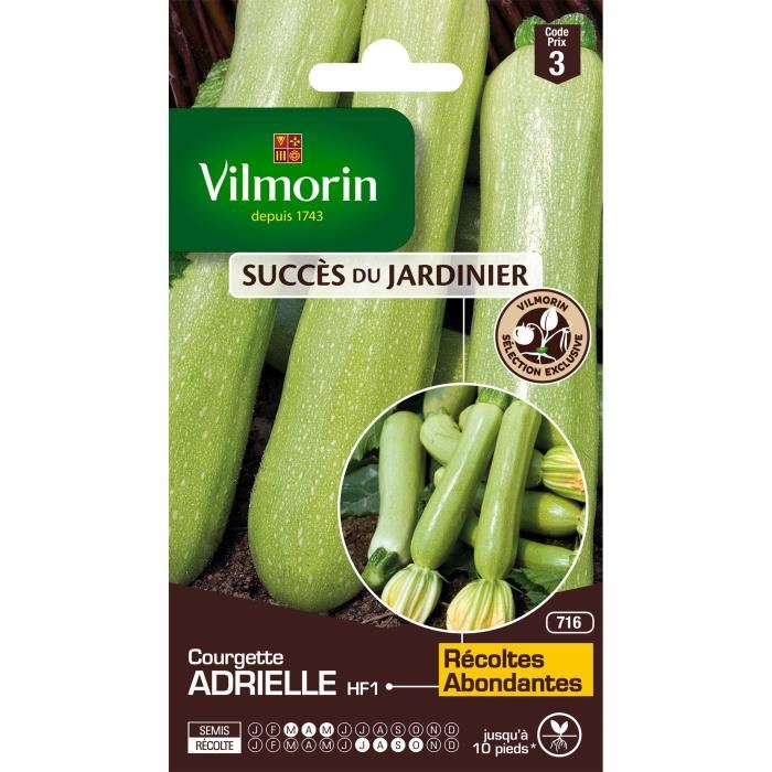 VILMORIN Courgette Adrielle HF1 Création Vilmorin