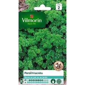 VILMORIN Persil frise Alto Création Vilmorin