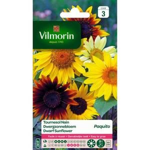 VILMORIN Tournesol nain Paquito