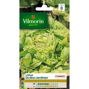 VILMORIN Laitue Pommee du bon jardinier