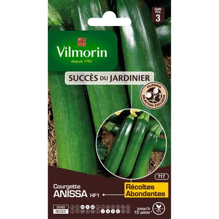 VILMORIN Courgette Anissa HF1 obt Vilmorin