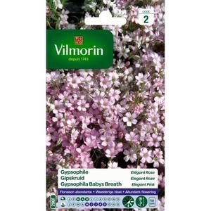 VILMORIN Gypsophile rose