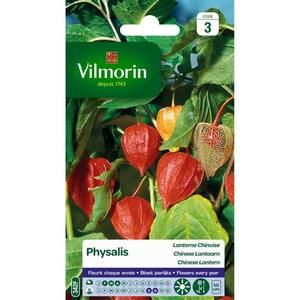VILMORIN Physalis Lanterne chinoise