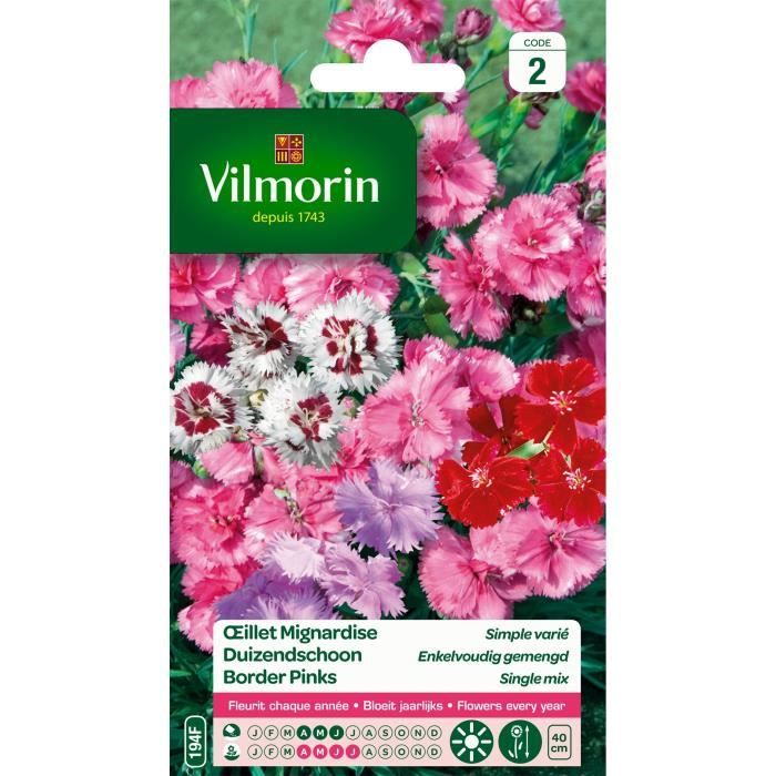 VILMORIN Oeillet Mignardise simple varié