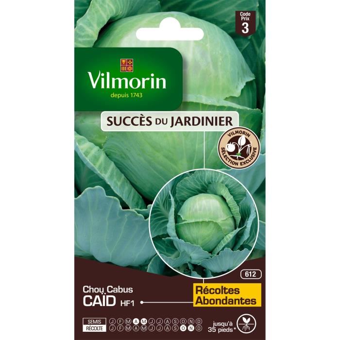 VILMORIN Chou cabus Ca?d HF1 Exclusivité