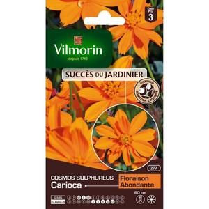 VILMORIN Cosmos Carioca