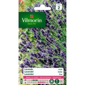VILMORIN Lavande vraie