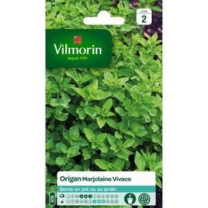 VILMORIN Marjolaine vivace origan
