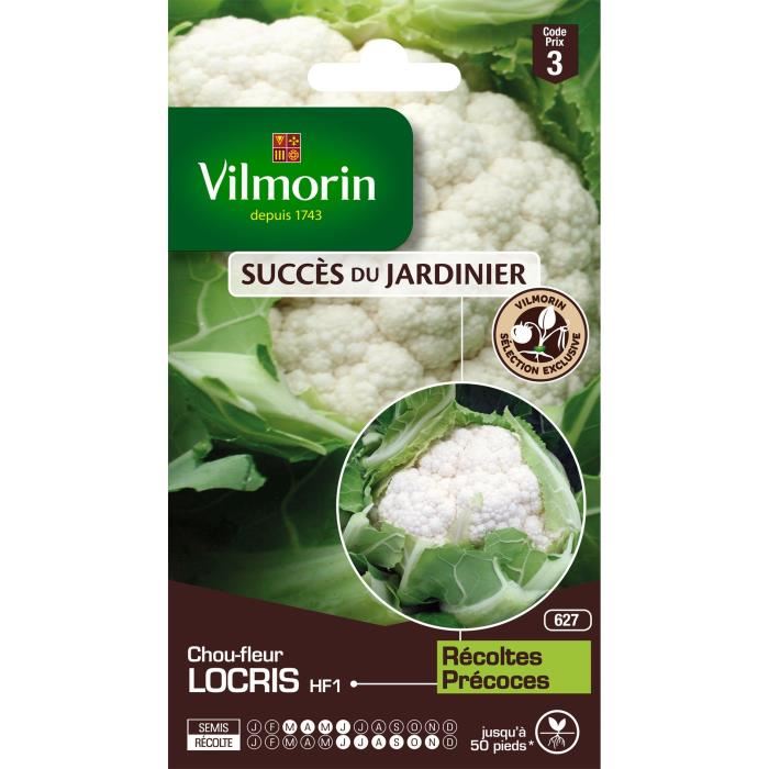 VILMORIN Chou-fleur Locris HF1 Création Vilmorin