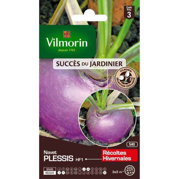 VILMORIN Navet Plessis