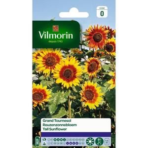 VILMORIN Grand Tournesol