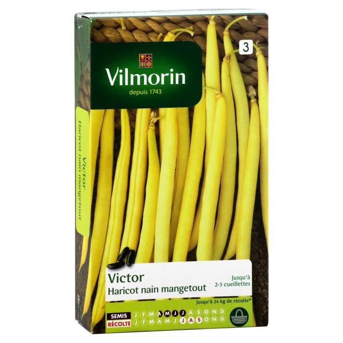 VILMORIN Haricot Victor Sachet de graines