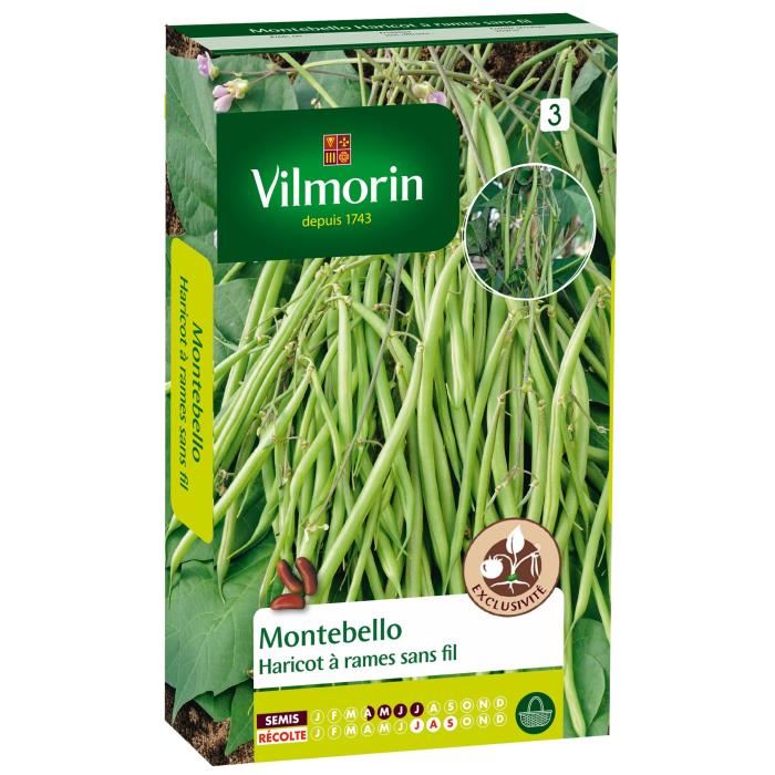 VILMORIN Haricot ? rames montebello Sachet de graines