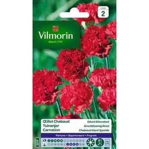 VILMORIN Oeillet géant Chabaud etincellant